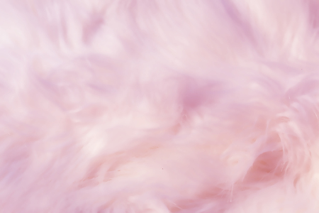 different structures and shades of fur - artificial fur texture. Graphic effect.の写真素材