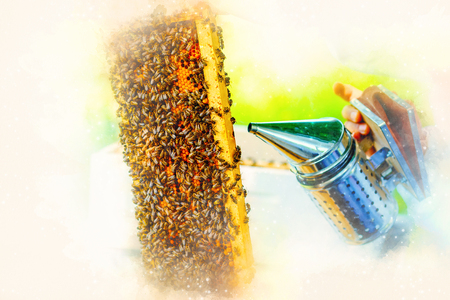 Beekeeper manipulating with honeycomb full of golden honey on softly blurred watercolor background.の写真素材