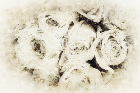 rose and computer drawing effect. omputer drawing collage.の写真素材