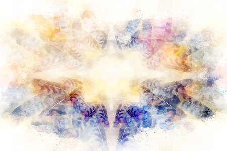Decorative multicolor feather pattern on abstract background.の写真素材
