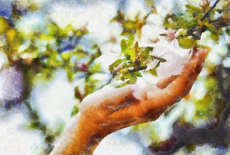 Adoring the spring magnolia flowers and computer painting effect.の写真素材