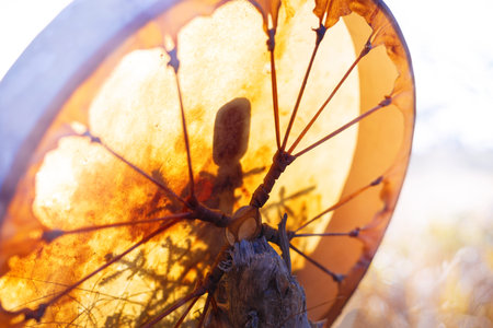 shamanic drum in nature, shamanic drum made of deer goat.