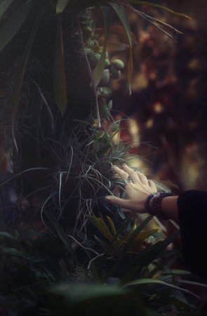 Woman hand in beautiful nature.