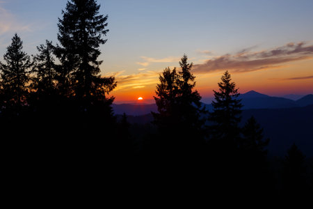 Beautiful landscape in the sunset