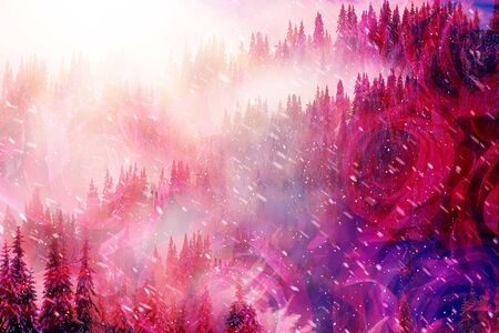 winter snowy landscape and rose, graphic collage.の写真素材