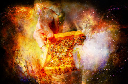 Beekeeper manipulating with honeycomb full of golden honey on abstract structured space background