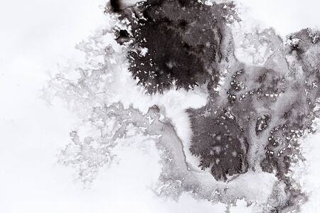 abstract black splashes on white  paper. monochrome image.の写真素材