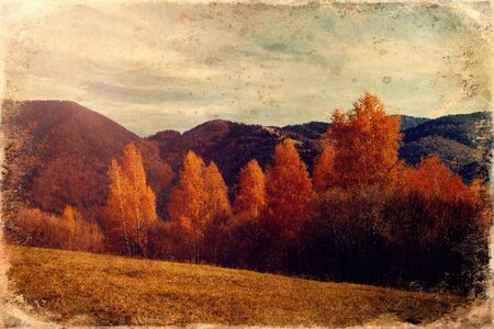 Beautiful landscape. birch tree in the foreground image, old photo effect.の写真素材