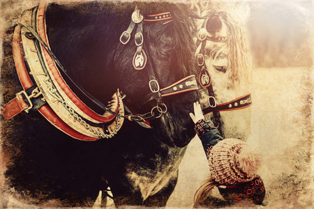 child stroking work horse, old photo effect.