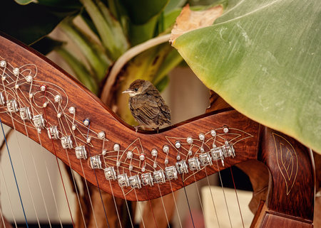 Irish harp and smal bird. Instrument closeup