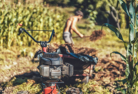 man on a small tractor, farmer at work.