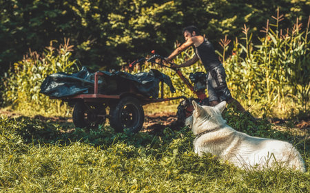 man on a small tractor, farmer at work.