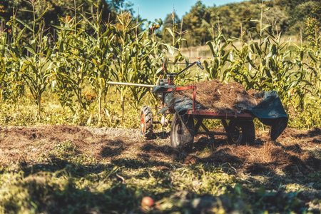 tractor with manure in the field.の写真素材