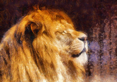 lion portrait on abstract background.の写真素材