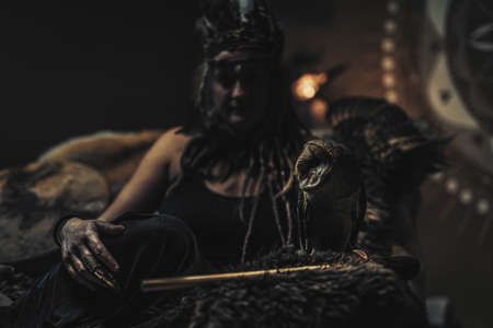 beautiful shamanic woman with owl in the interiors.の写真素材