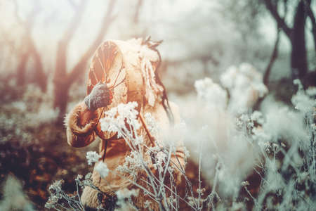 beautiful shamanic girl playing on shaman frame drum in the nature.の写真素材