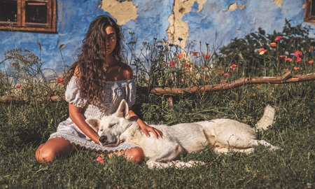 woman and dog on the meadow at sunset.