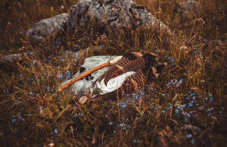 Shamanic rattle and shamanic feathers on denim in nature.