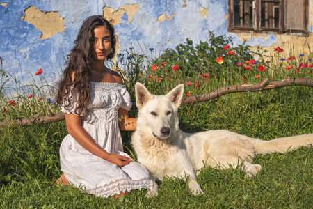 woman and dog on the meadow at sunset.