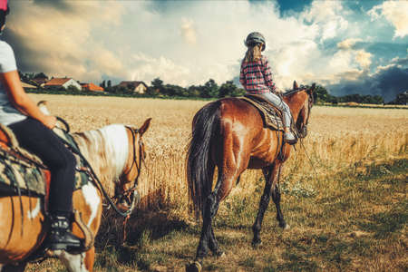 girl trains horse on a beautiful summer day.の写真素材