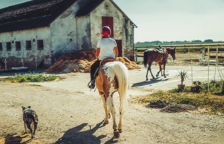 girl trains horse on a beautiful summer day.