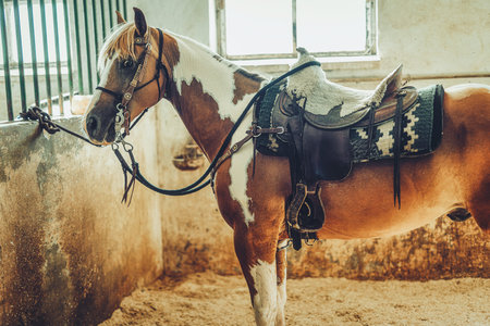 saddled brown horse in stables.