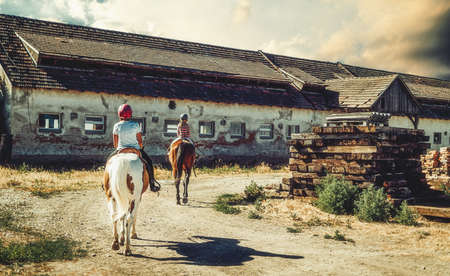 girl trains horse on a beautiful summer day.の写真素材