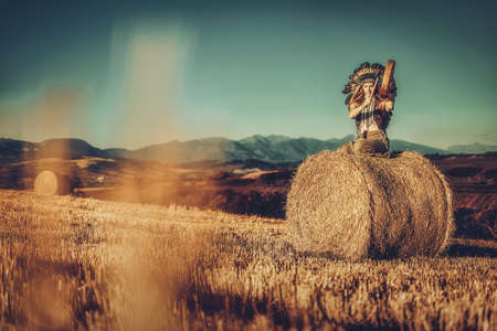 beautiful shamanic girl playing on shaman frame drum in the nature.の写真素材