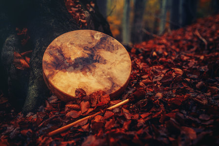 shaman drum in forest on moss tree.の写真素材