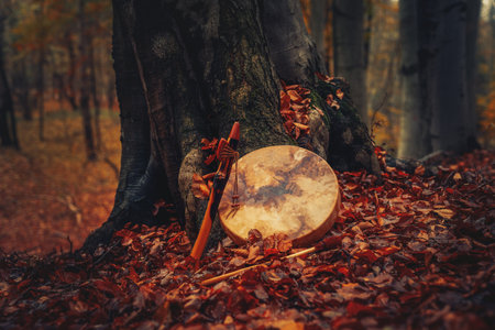 shaman drum and flute in forest on moss tree.の写真素材