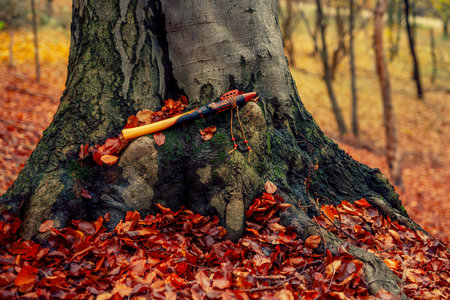 shaman flute in forest on moss tree.の写真素材