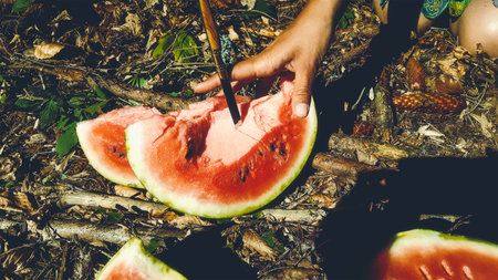 big ripe water melon with slice and knife.