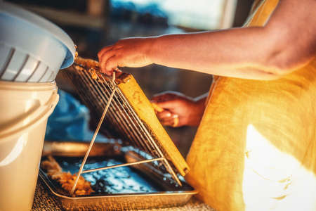 Work with a comb to print out a honeycomb.の写真素材