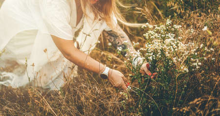 Woman collects beautiful spring flowers in a summer day.の写真素材
