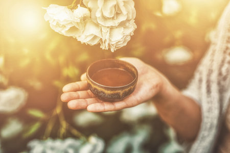 Cacao ceremony in the garden, heart opening medicine. Ceremony space. Rose background.の写真素材