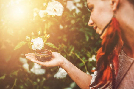 Cacao ceremony in the garden, heart opening medicine. Ceremony space. Rose background.の写真素材