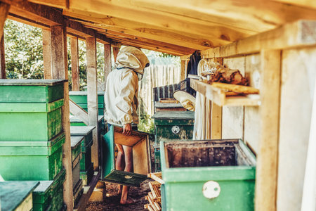 Beekeeper manipulating with honeycomb full of golden honey.