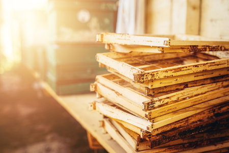 Woden hives of bees in the apiary.の写真素材