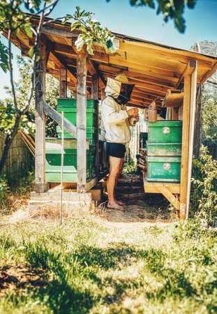 Beekeeper manipulating with honeycomb full of golden honey.