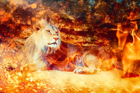 A majestic white lion sits before a roaring fire, embodying the fiery spirit of Aries and the power of the Tarot.の写真素材