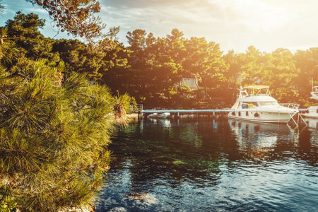 yachts moored in a beautiful natural harbor full of greenery.の写真素材