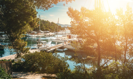 yachts and sailboat moored in a beautiful natural harbor full of greenery.