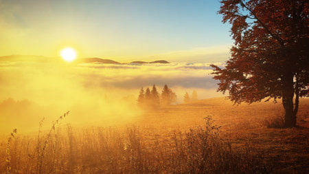 A serene and beautiful sunrise shining over a misty autumn landscape filled.の写真素材