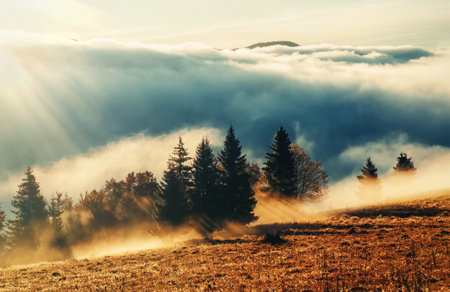 A serene and beautiful sunrise shining over a misty autumn landscape filled.の写真素材