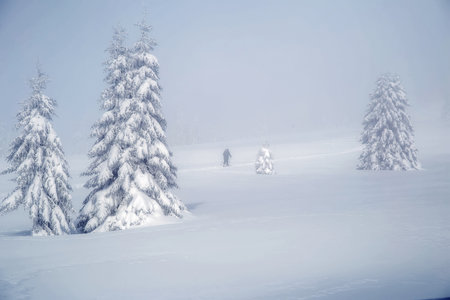 A beautiful winter landscape.の写真素材