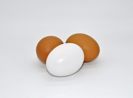 browns and white eggs isolated on whiteの写真素材