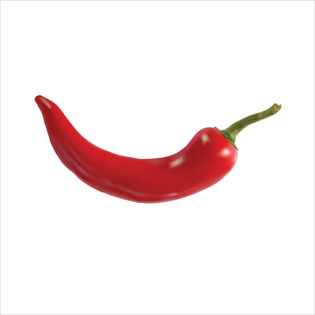 Red Chili vegetableのイラスト素材