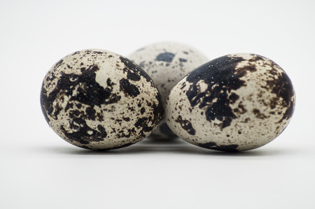 Small Quail Eggの写真素材