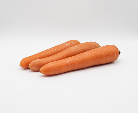 long orange carrotの写真素材