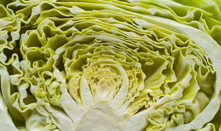 cabbage salad closeupの写真素材